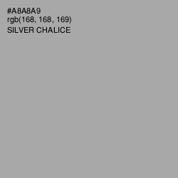 #A8A8A9 - Silver Chalice Color Image